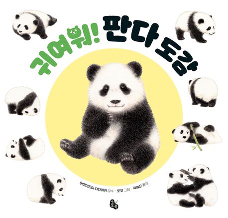 귀여워! 판다 도감 이미지