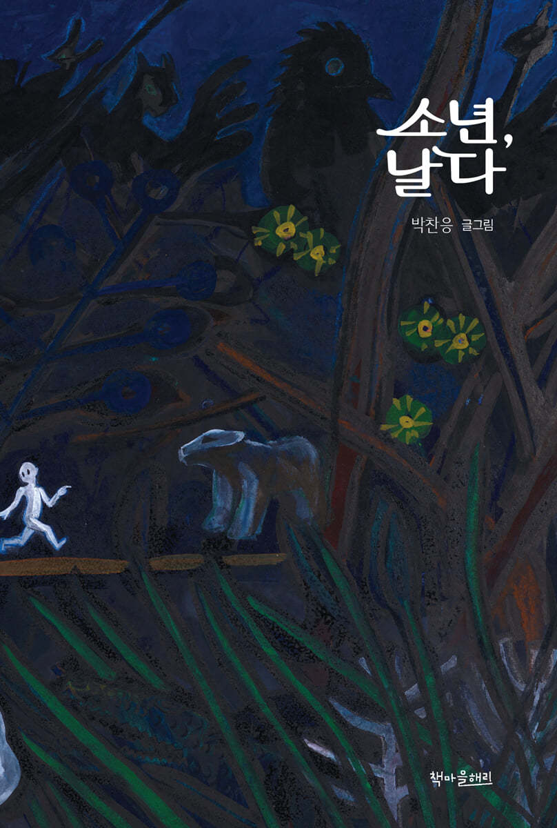 소년, 날다 이미지