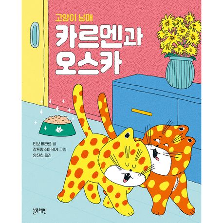 고양이 남매 카르멘과 오스카 이미지