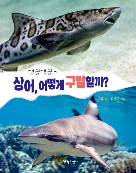 상어, 어떻게 구별할까? 이미지