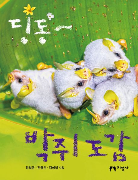 딩동~ 박쥐 도감 이미지
