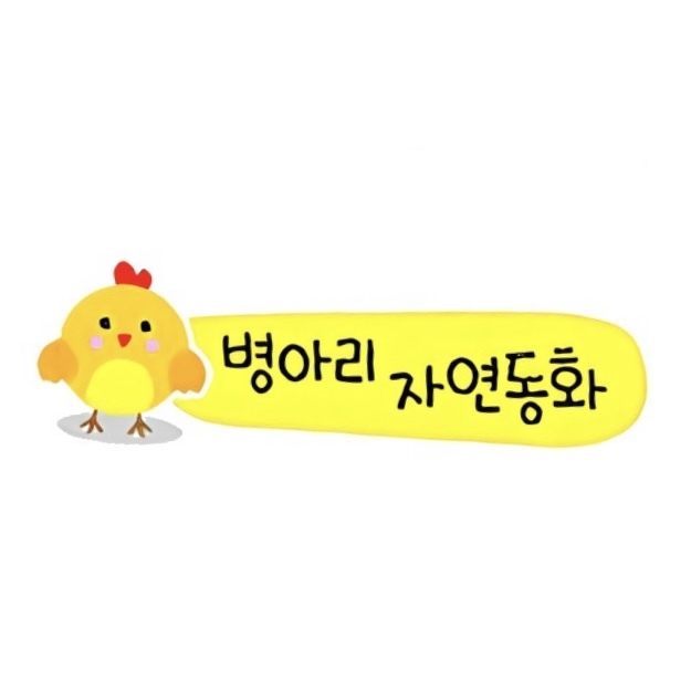 병아리 자연동화 이미지