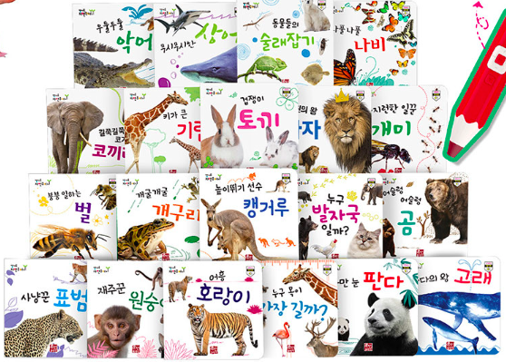 캥거루 자연주머니 이미지