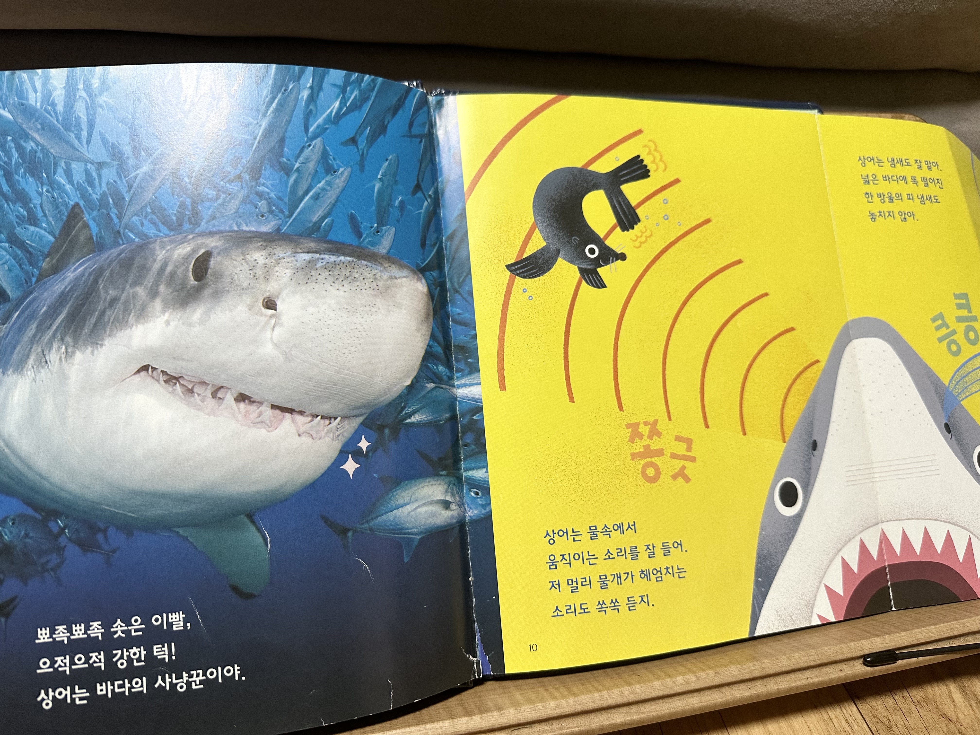 놀라운 자연 카드뉴스 3