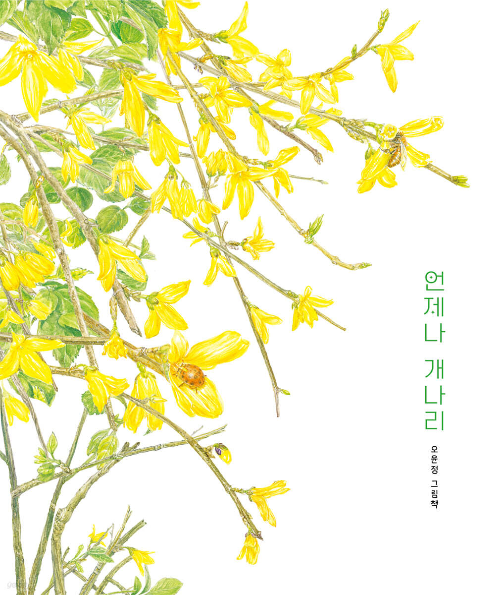 언제나 개나리 이미지