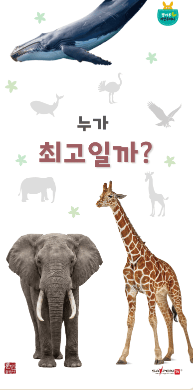 누가 최고일까?