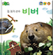 비버