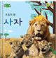 사자 이미지
