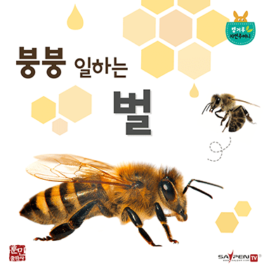 붕붕 일하는 벌 이미지
