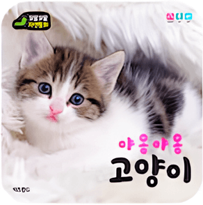 야옹야옹 고양이 이미지