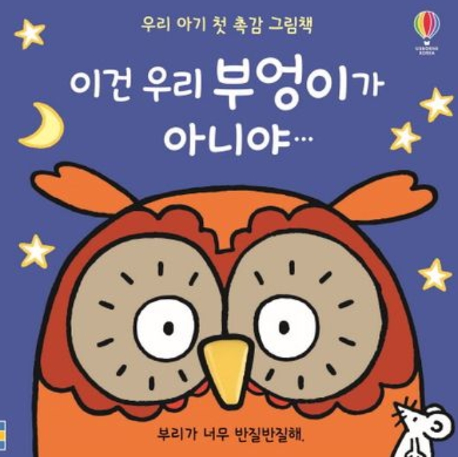 이건 우리 부엉이가 아니야 이미지