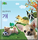 개 이미지