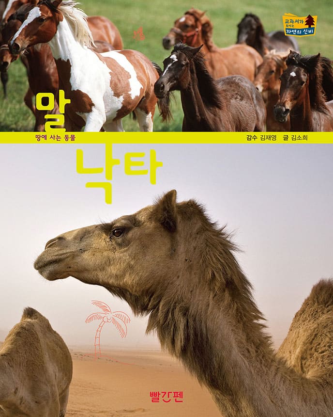 말·낙타 이미지