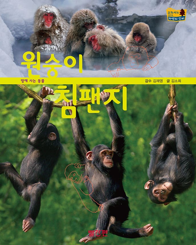 원숭이·침팬지 이미지