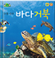 바다거북