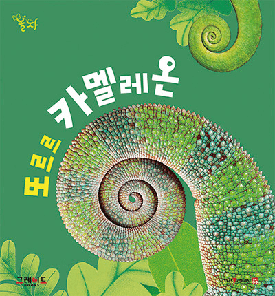 8. 또르르 카멜레온 이미지