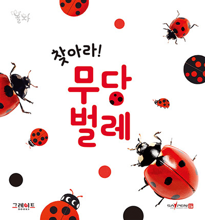 11. 찾아라! 무당벌레 이미지