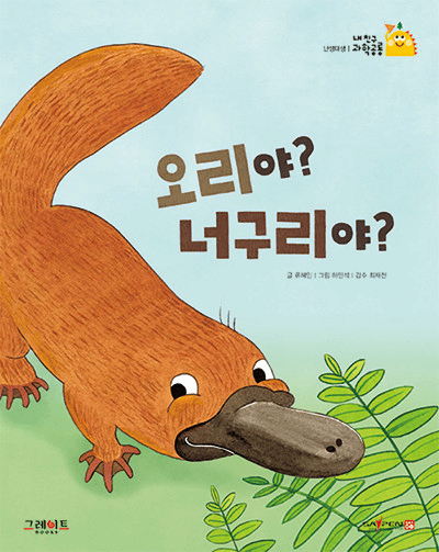 2. 오리야? 너구리야? 이미지
