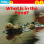 A6 What's in the Pond? 이미지