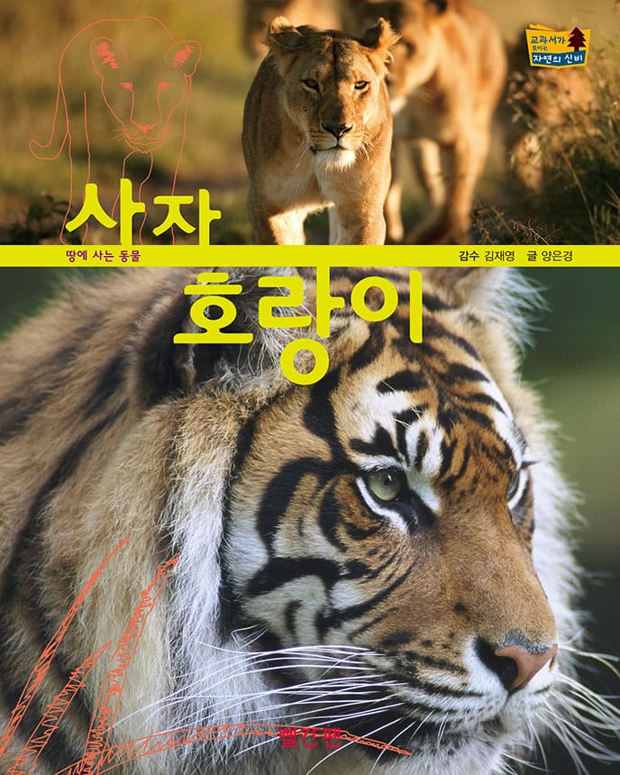 사자·호랑이 이미지