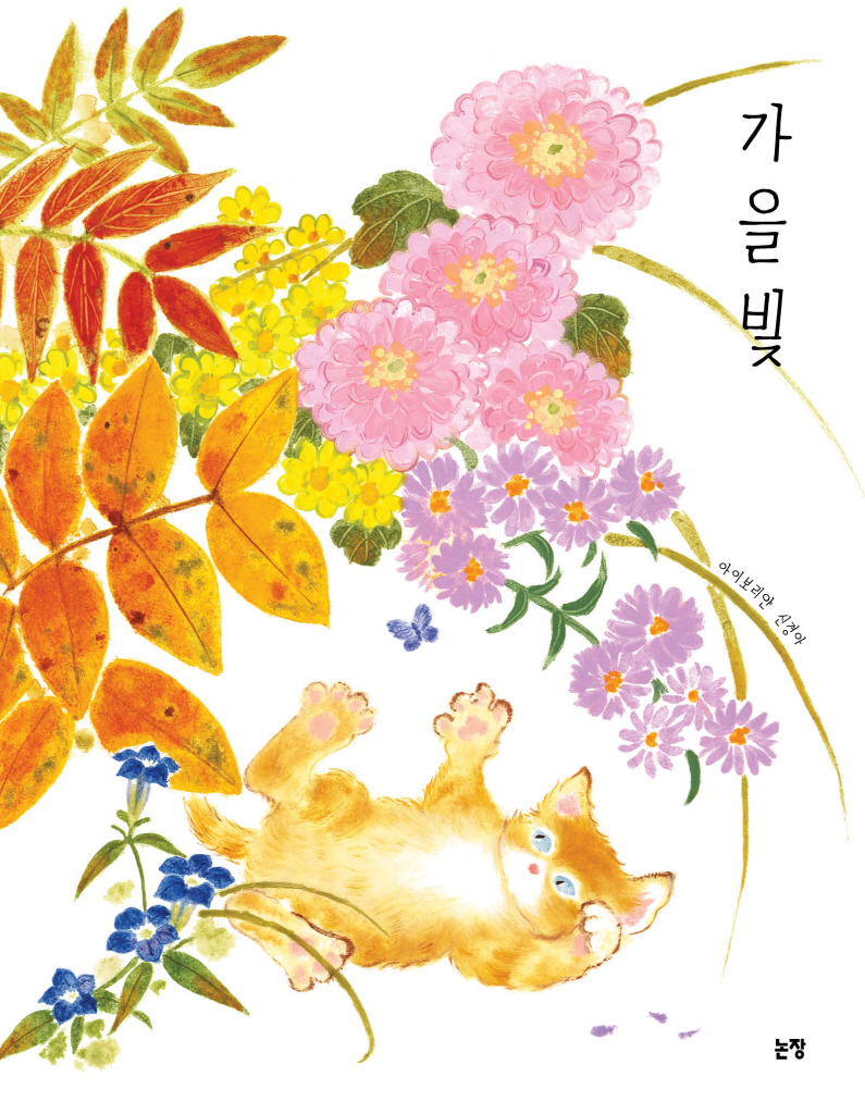 가을빛 이미지
