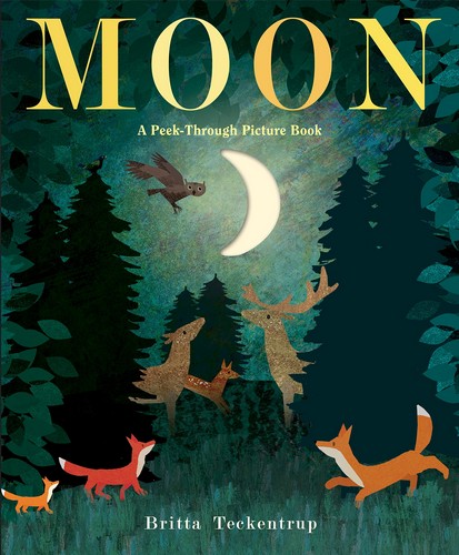 Moon: Night-time around the world 이미지