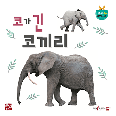 길쭉 길쭉 코가 긴 코끼리 이미지