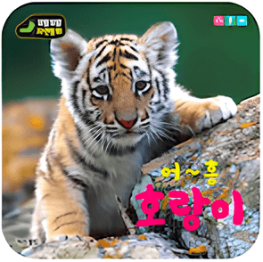 어~흥 호랑이 이미지