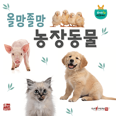 올망졸망 농장동물