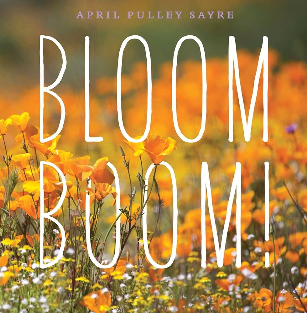 BLOOM BOOM ! 이미지