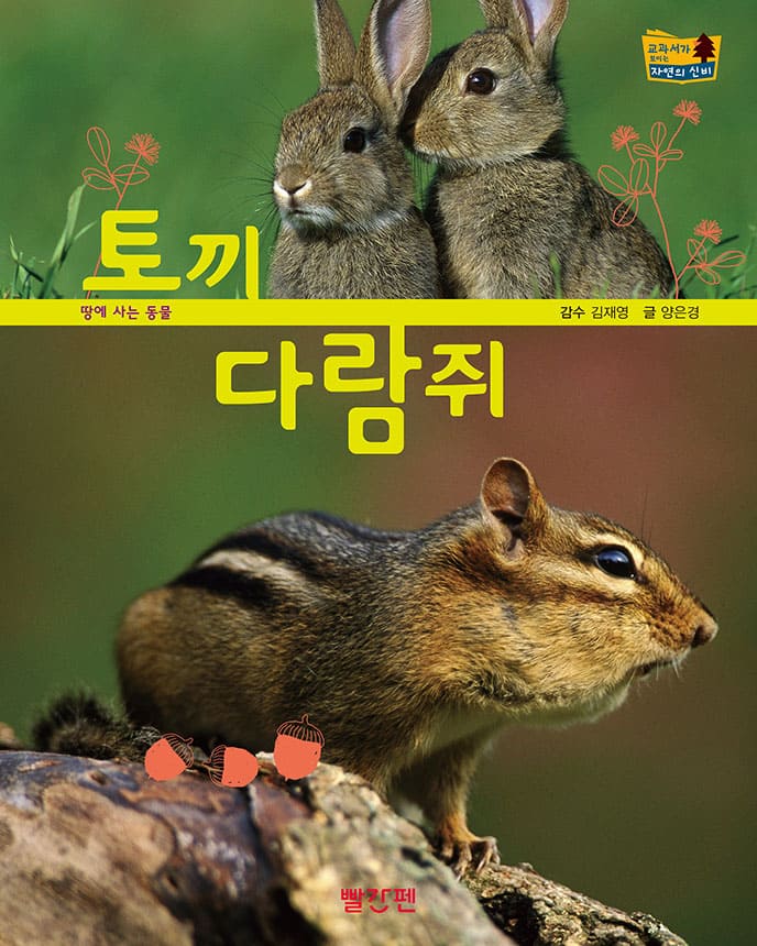 토끼·다람쥐 이미지