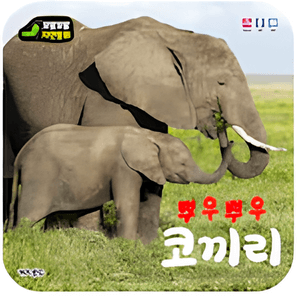 뿌우뿌우 코끼리 이미지
