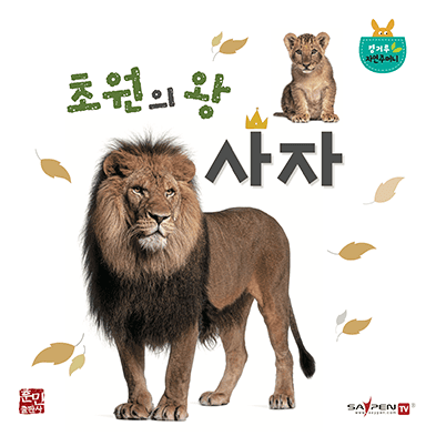 초원의 왕 사자 이미지