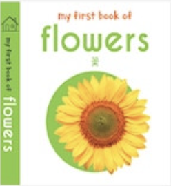 flowers 꽃