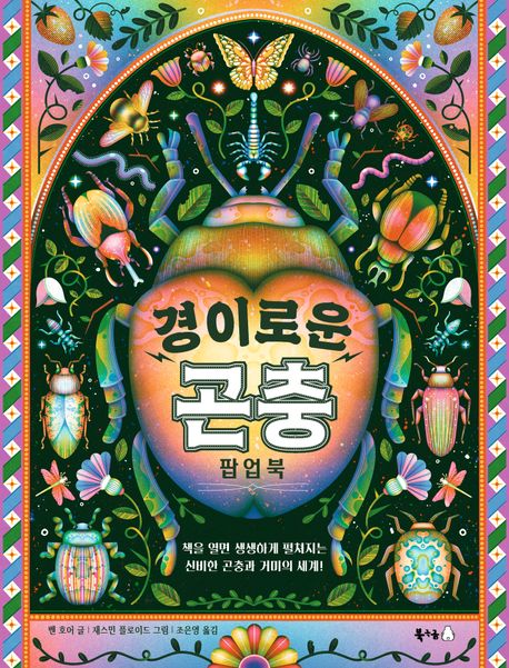 경이로운 곤충 팝업북 이미지