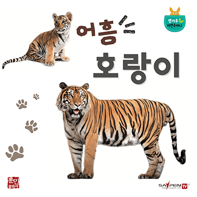 어흥 호랑이