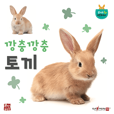 겁쟁이 토끼 이미지