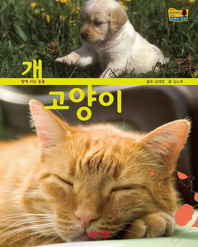 개·고양이 이미지