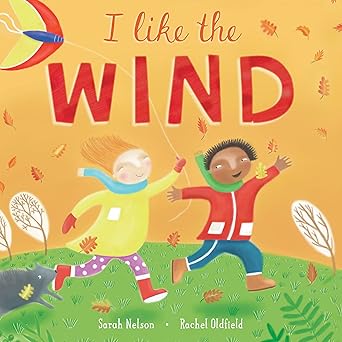 I Like the Wind 이미지