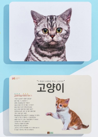 동물 카드 이미지