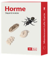 개미 이미지