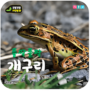 폴짝폴짝 개구리 이미지