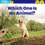 B11 Which One Is an Animal? 이미지