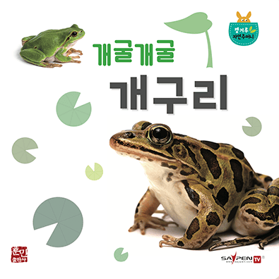 개굴 개굴 개구리 이미지
