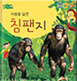 침팬지 이미지