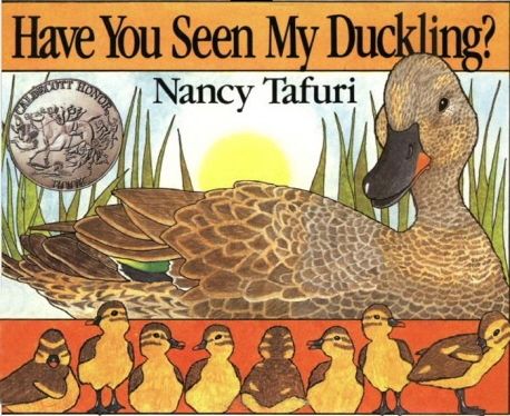 Have You Seen My Duckling? 이미지