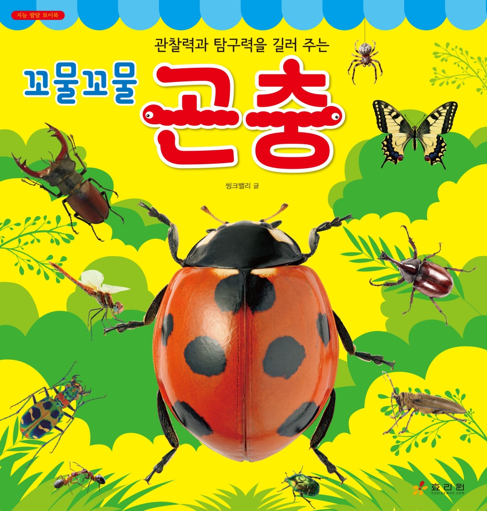 꼬물꼬물 곤충 이미지