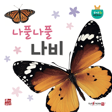 나풀나풀 나비 이미지