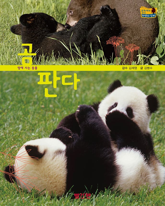곰·판다 이미지