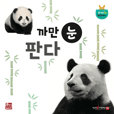 까만 눈 판다